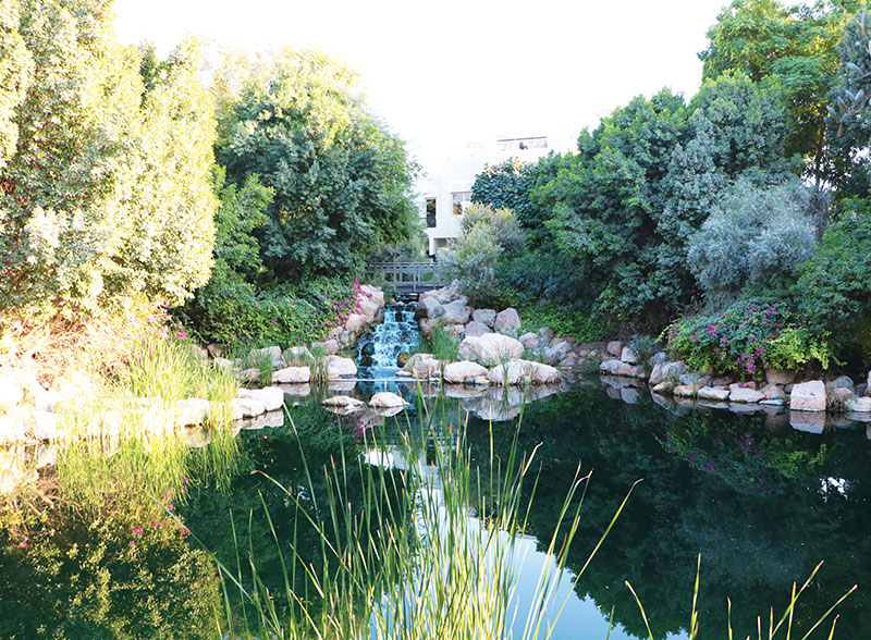 Camellia, Luxury Villas at Al Barari